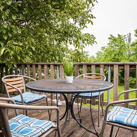 Cosy In